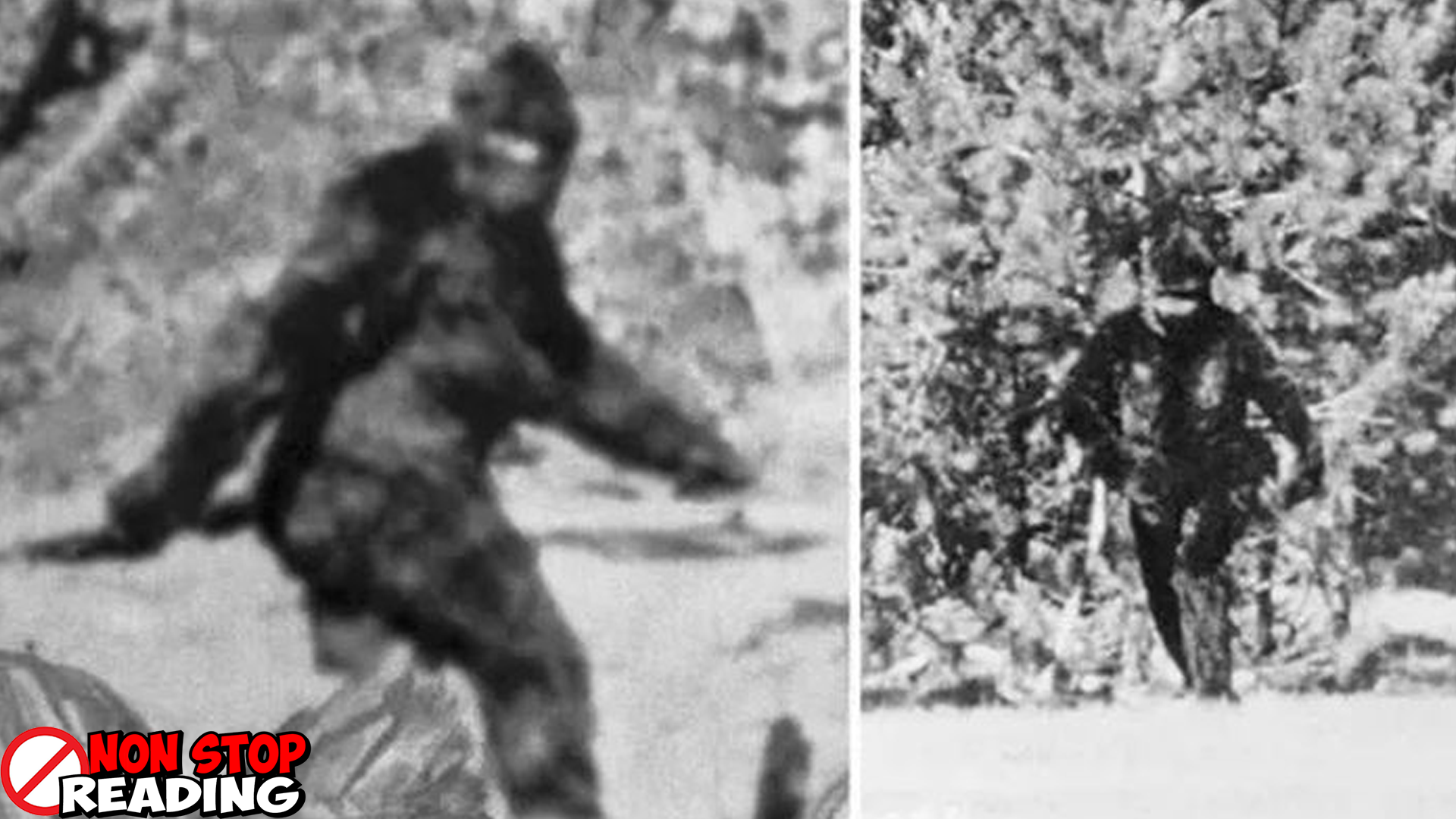 Misteri Bigfoot