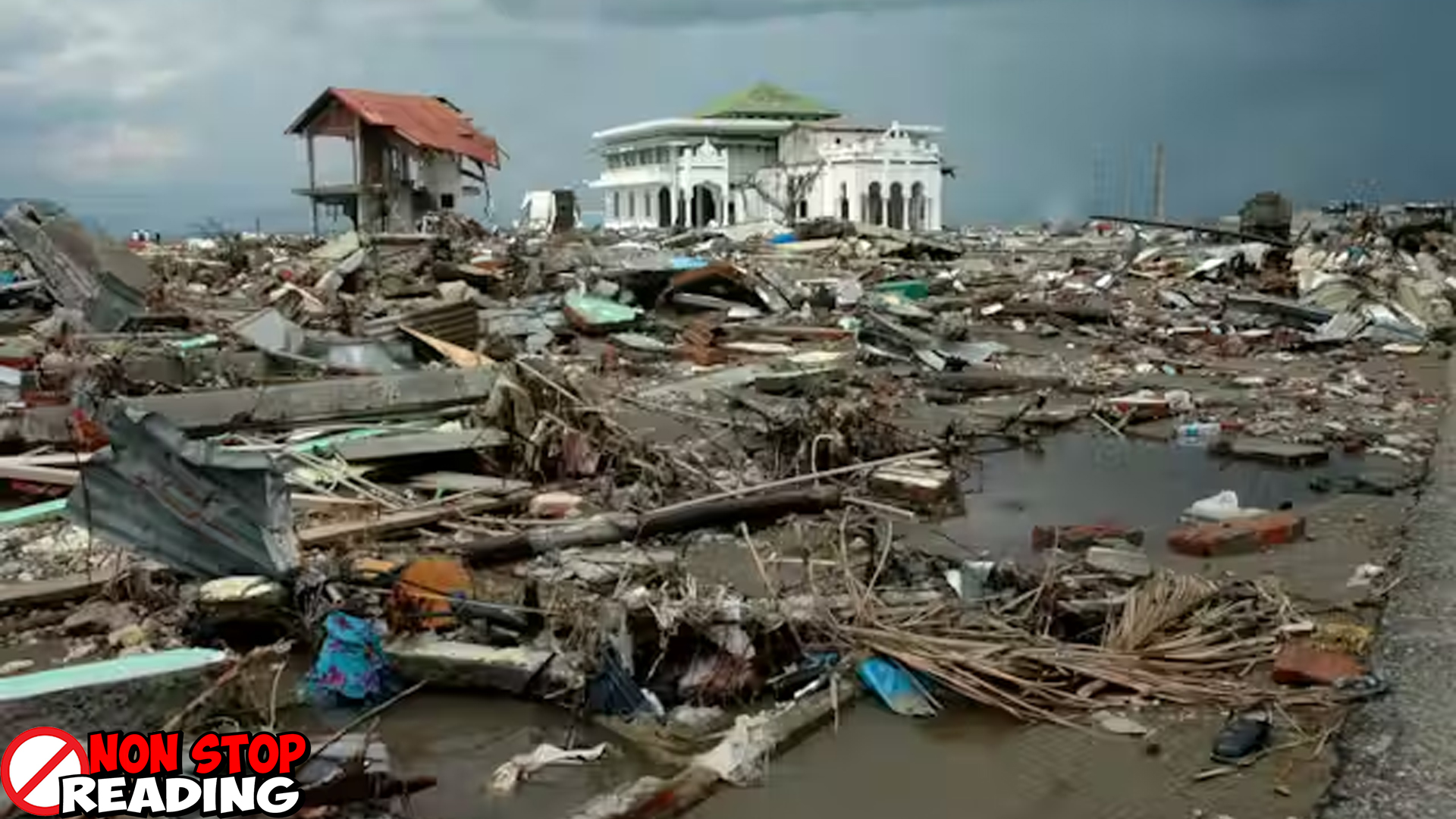 Tsunami Aceh 2004: Cerita Duka dan Kebangkitan Pasca-Bencana