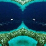 Palung Mariana, Tempat Misterius di Lautan