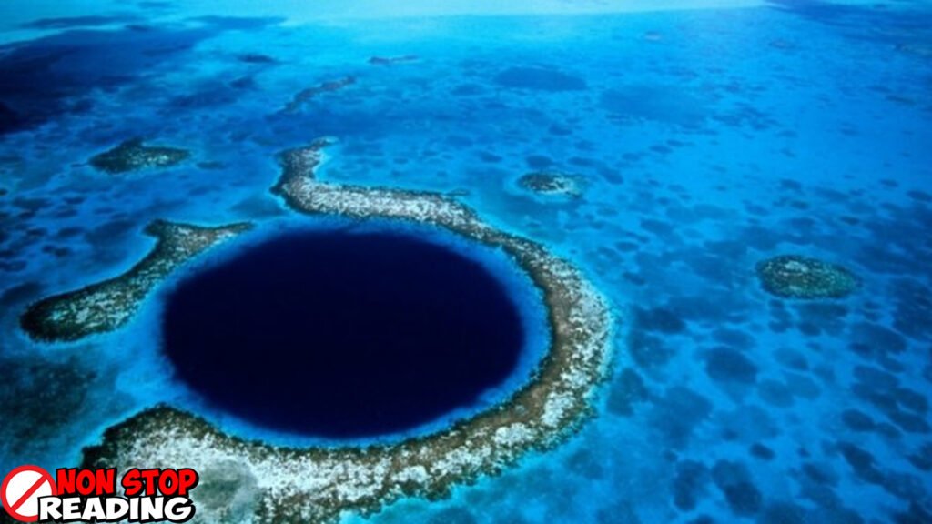 Palung Mariana, Tempat Misterius di Lautan